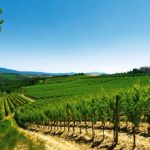 Turismo del vino: attesi un milione di winelover