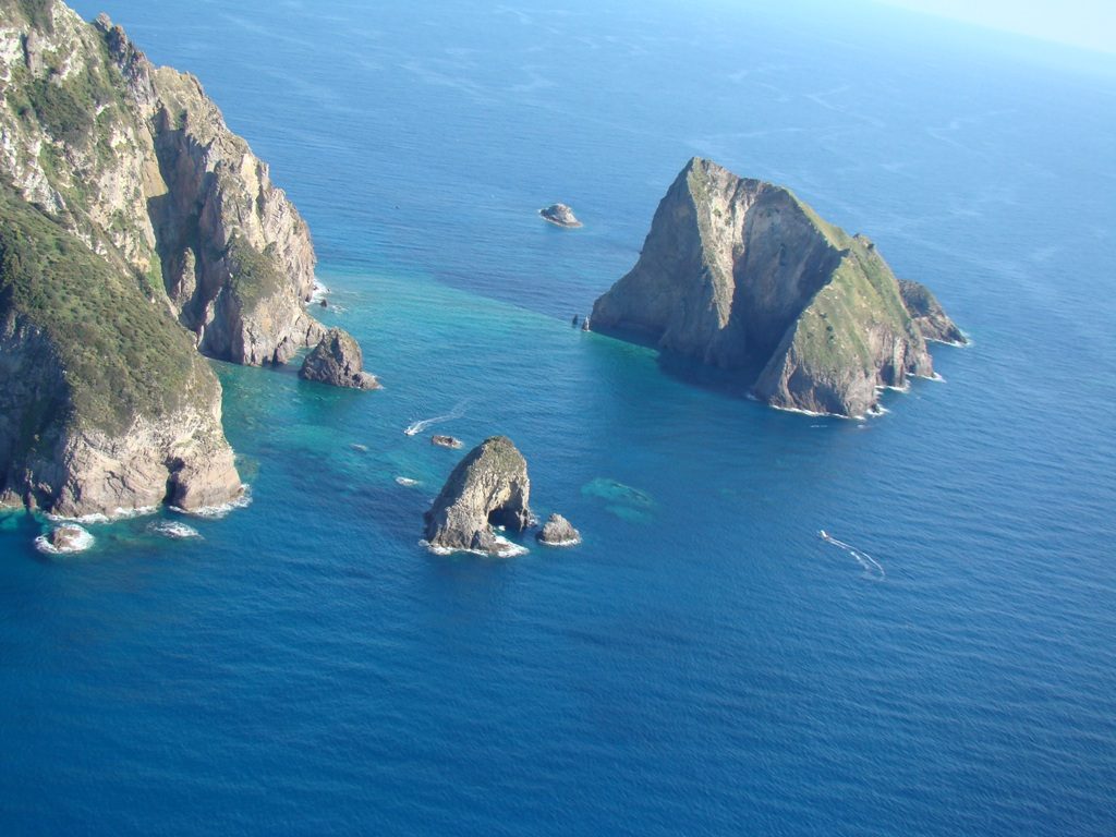Palmarola