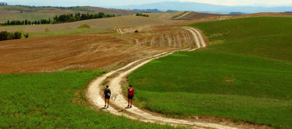 via francigena Toscana