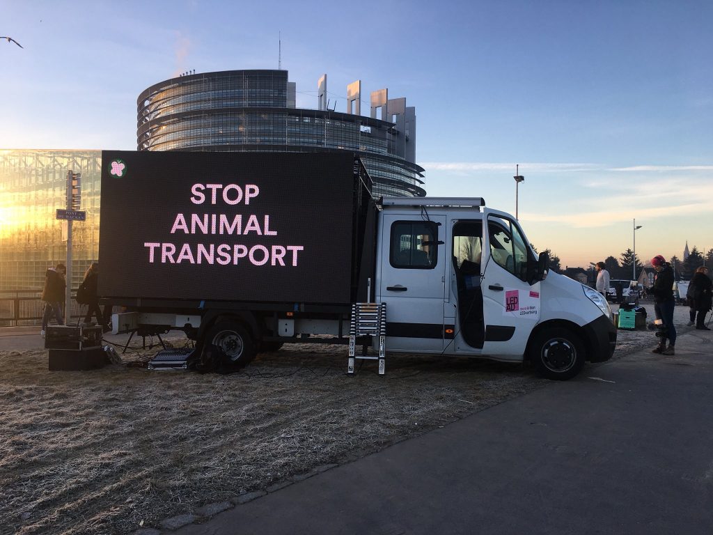 divieto del trasporto di animali