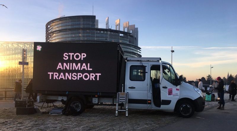 divieto del trasporto di animali