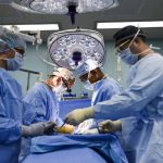 Record in Italia di donazioni organi, tessuti e cellule staminali emopoietiche