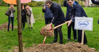 Mellin - nuovi alberi per le famiglie di Torino