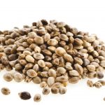Che cosa hanno di speciale i semi di canapa? Ecco i benefits che apportano all’organismo