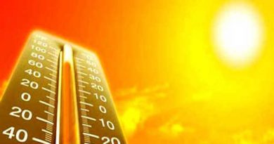 caldo