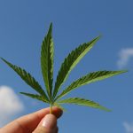 Lussemburgo primo paese europeo a legalizzare produzione e consumo di marijuana