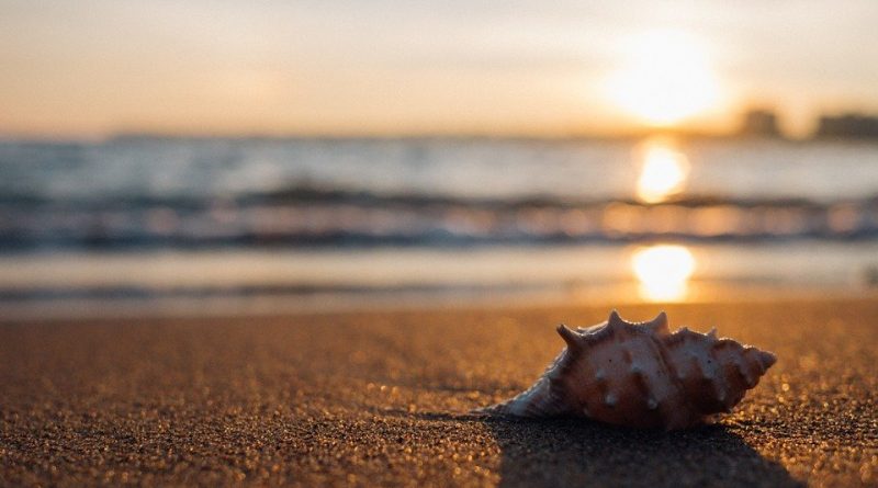 spiaggia - ph pixabay