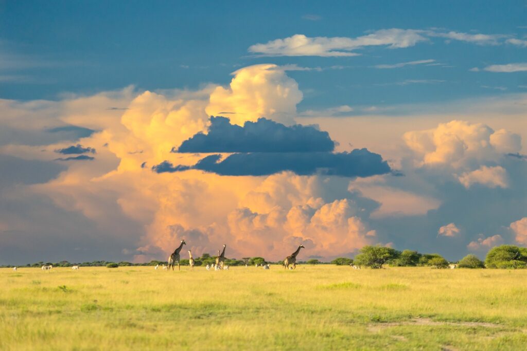 Quando andare in Botswana