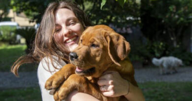 Open day 2023 cani ph regione toscana