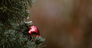 Natale rende davvero più buoni? Un viaggio tra le luci e i cuori di Barcellona