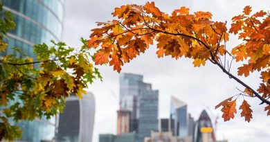 Londra, meta privilegiata per i lavoratori italiani: un legame che dura nel tempo