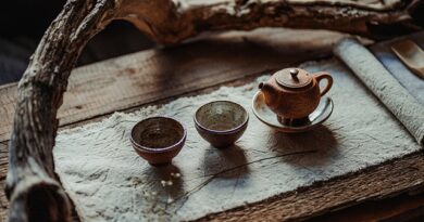 Chengdu e la casa dei panda giganti