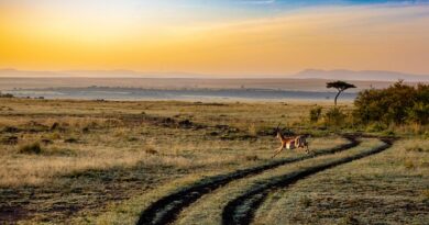 Amboseli e lo sguardo sul Kilimanjaro