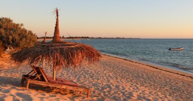 Canal des Pangalanes: Navigazione e Natura