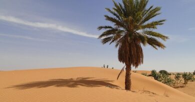 Kiffa: tra cultura e paesaggi naturali