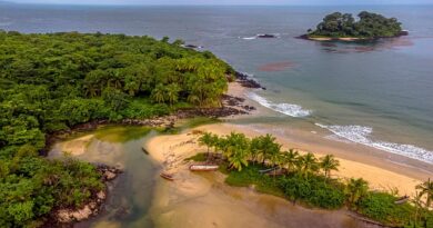 Sherbro Island: L’isola della storia e della natura incontaminata