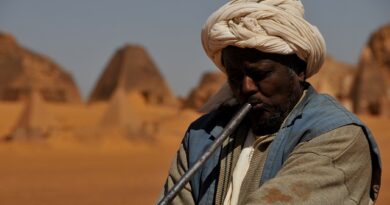 Port Sudan e i fondali del Mar Rosso: paradiso per sub e biologi marini