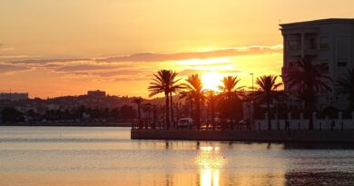 Djerba e Houmt Souk, l’isola tra mare e tradizioni