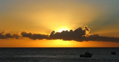 La vita quotidiana a Bridgetown: mercati, arte e tradizioni locali