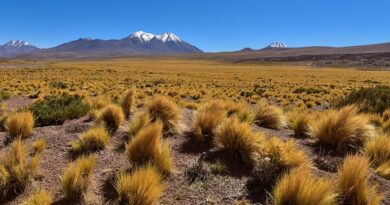 Santiago del Cile, città tra le Ande e il futuro: dove l’arte incontra la resilienza