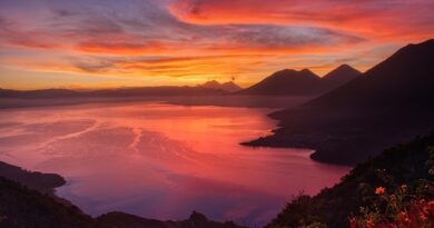 Monterrico e la Costa del Pacifico: tra Sabbia Vulcanica e Progetti di Conservazione delle Tartarughe marine