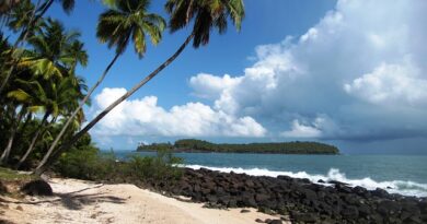 Sapori di Guyana: la nuova cucina creola conquista i critici internazionali