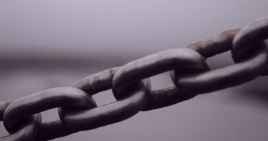 Lucera e Connessioni Fest: il futuro della comunicazione passa dalla Capitanata