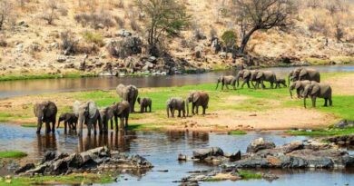 Vivi un’avventura fuori dal comune!