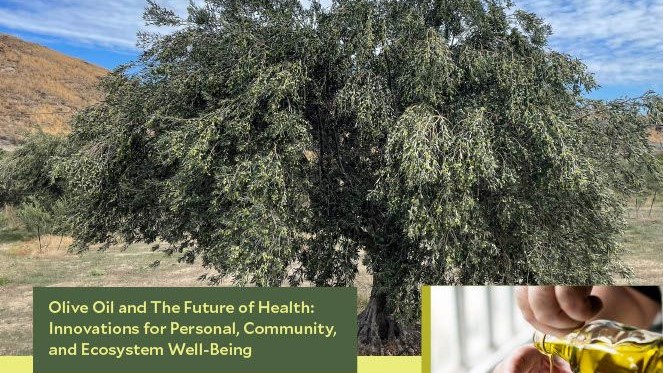 Domenico Praticò invitato al 7° Simposio Internazionale di Yale su Olio d’Oliva e Salute