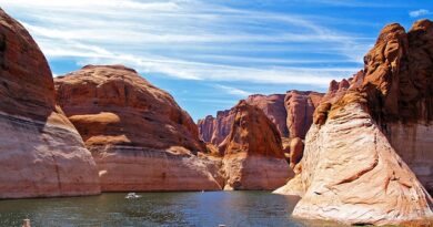 Arizona e i festival: cultura, musica e tradizione tutto l’anno
