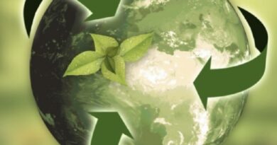 Esperienze di partecipazione a tutela dell’ambiente, il 29 gennaio arriva il webinar gratuito