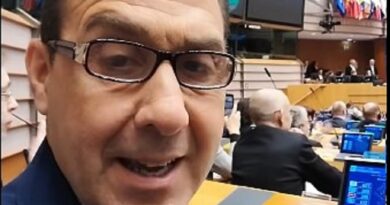 Parlamento europeo approva il mandato sui rimpatri: Vannacci parla di “remigrazione”