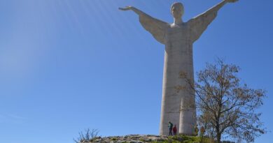 Cosa vedere a Potenza: Museo Archeologico Nazionale della Basilicata, un viaggio nella storia antica Cosa vedere a Potenza: Museo Archeologico Nazionale della Basilicata, un viaggio nella storia antica