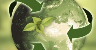 Implementazione ESG e CSRD nelle PMI, il 16 aprile il webinar della Camera di commercio