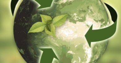 Arriva il webinar della Camera di commercio il 23 aprile sul tema Calcolo Emissioni e Carbon Footprint