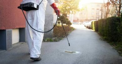 https://www.lombardo-group.it/pest-control/