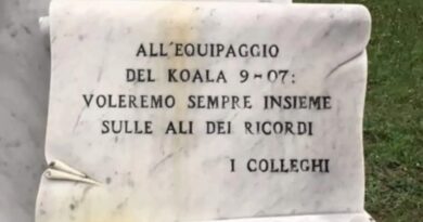Koala 7 – 25 anni dopo
